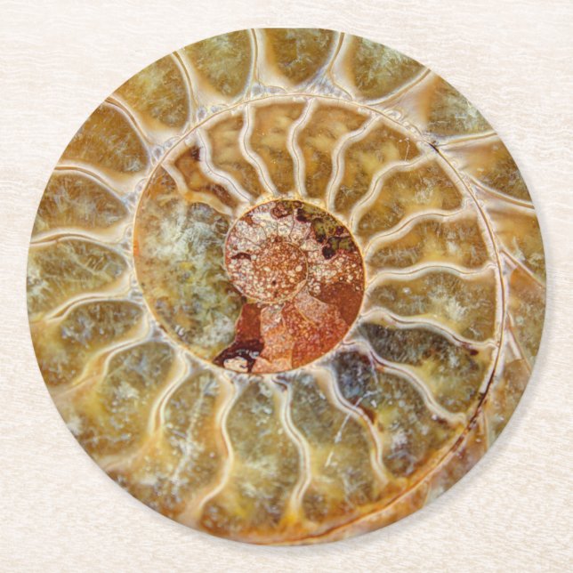 Dessous-de-verre Rond En Papier Dessous de verre de fossile d'ammonite (Devant)