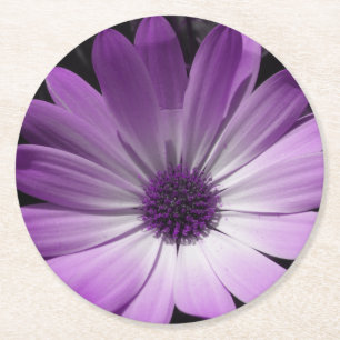 Dessous-de-verre Rond En Papier Dessous de verre en papier à fleurs de marguerite