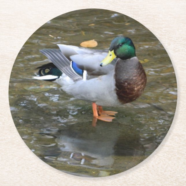 Dessous-de-verre Rond En Papier Dessous de verre en papier Mallard Duck (Homme) (Devant)