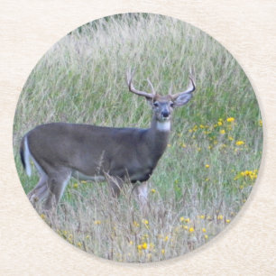 Dessous-de-verre Rond En Papier Dessous de verre papier Big Buck (été)