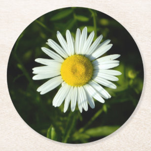 Dessous-de-verre Rond En Papier Dessous de verre papier Daisy Delight