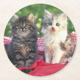 Dessous-de-verre Rond En Papier Deux chatons se reposant sur une couverture