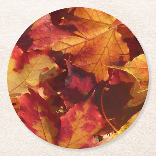 Dessous-de-verre Rond En Papier Feuille d'automne de chute (Devant)