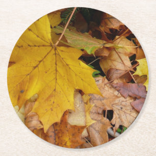 Dessous-de-verre Rond En Papier Feuilles de Érable Tombées Jaune Automne Nature
