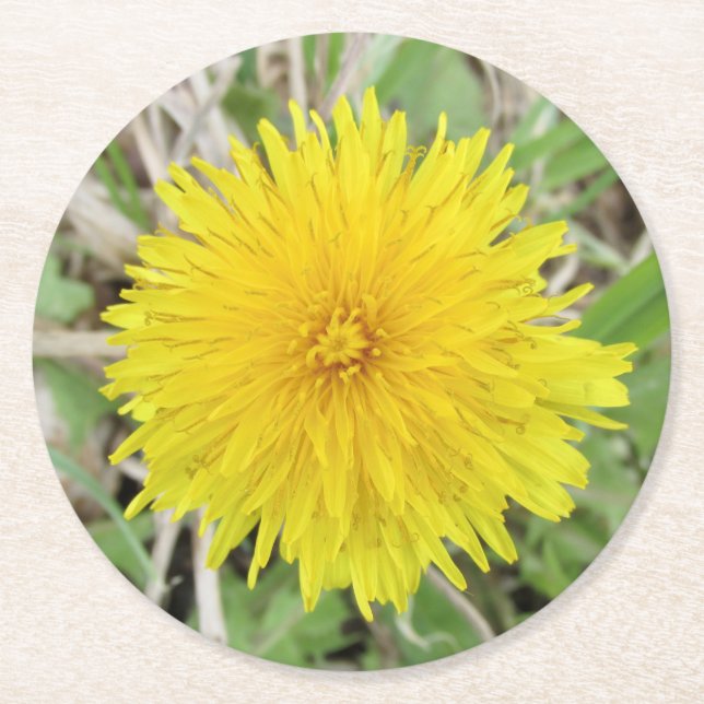Dessous-de-verre Rond En Papier Fier Dandelion Fleur. (Devant)