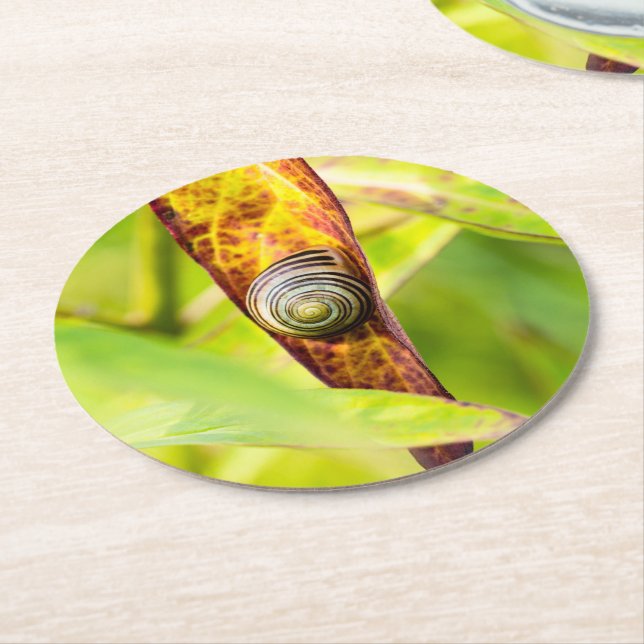 Dessous-de-verre Rond En Papier fixation calme (Incliné)