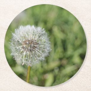 Dessous-de-verre Rond En Papier Fleur de pissenlit blanc sur herbe verte