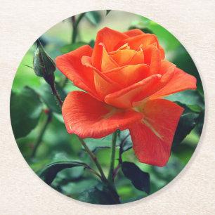 Dessous-de-verre Rond En Papier Fleur de rose de la nature-46458