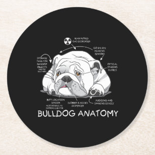 Dessous-de-verre Rond En Papier Funny Cute English Bulldog Anatomie de la biologie