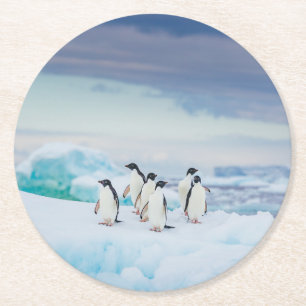 Dessous-de-verre Rond En Papier Glace et neige   Adelie Penguins Antarctique