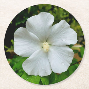 Dessous-de-verre Rond En Papier Hibiscus