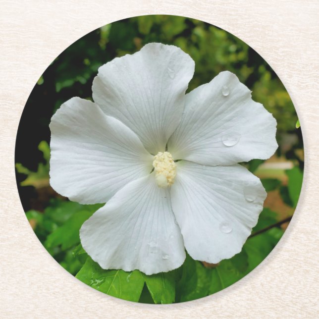 Dessous-de-verre Rond En Papier Hibiscus (Devant)