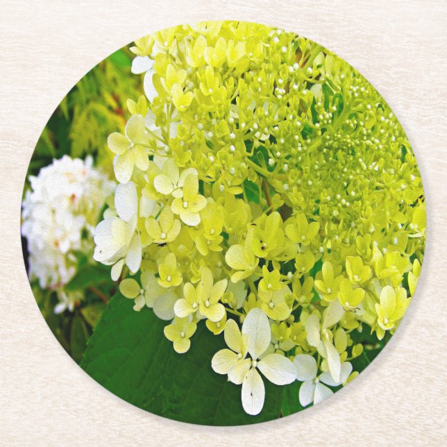 Dessous-de-verre Rond En Papier Hydrangea Limelight Vert Chartreuse Élégant (Devant)