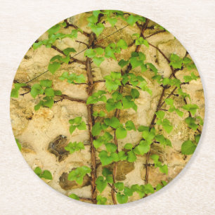 Dessous-de-verre Rond En Papier Hydrangea petiolaris