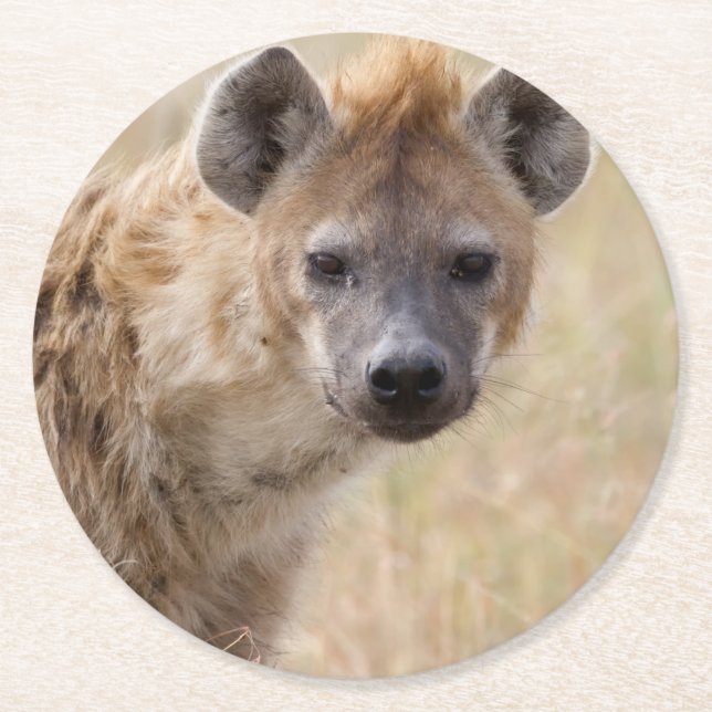 Dessous-de-verre Rond En Papier Hyena (Devant)
