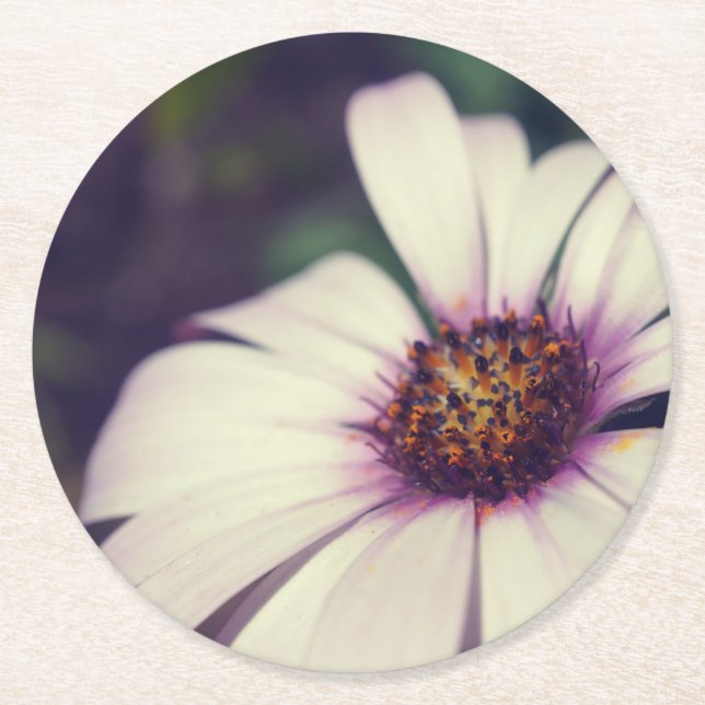 Dessous-de-verre Rond En Papier Impression de marguerite. (Devant)
