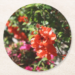 Dessous-de-verre Rond En Papier Jolie province de fleurs rouges Photographie flora