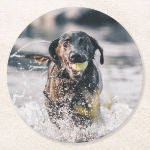 Dessous-de-verre Rond En Papier Le Labrador Noir Joue Dans L'Eau