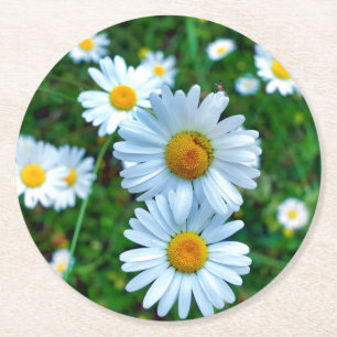 Dessous-de-verre Rond En Papier Marguerites oculaires