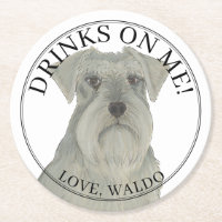 Mariage de chien Schnauzer en argent gris personna