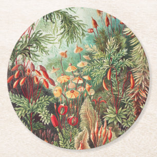 Dessous-de-verre Rond En Papier Mousses, Muscinae Laubmoose par Ernst Haeckel