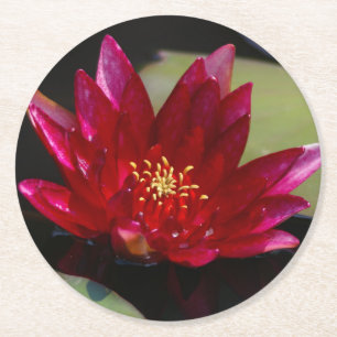 Dessous-de-verre Rond En Papier Nénuphar Lotus Magenta