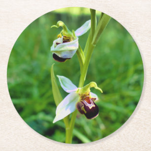 Dessous-de-verre Rond En Papier Orchidée