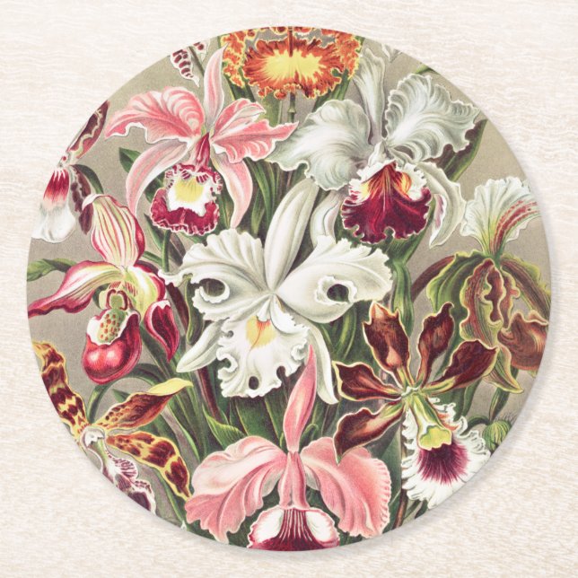 Dessous-de-verre Rond En Papier Orchidées, Orchidées Denusblumen par Ernst Haeckel (Devant)