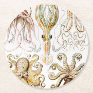 Dessous-de-verre Rond En Papier Pieuvre Calmar, Gamochonia par Ernst Haeckel