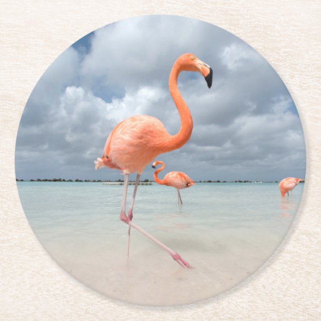 Dessous-de-verre Rond En Papier Plages tropicales | Flamants roses Beach, Aruba (Devant)