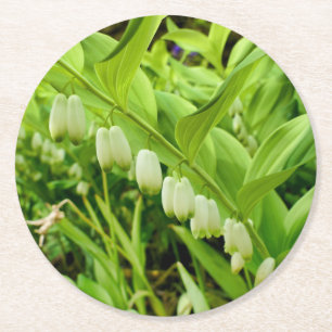 Dessous-de-verre Rond En Papier Sceau Solomons