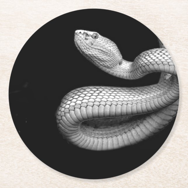 Dessous-de-verre Rond En Papier Serpent (Devant)