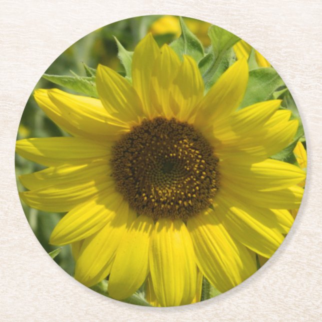 Dessous-de-verre Rond En Papier Sunflower d'été (Devant)