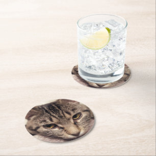 Dessous-de-verre Rond En Papier Tabby Cat-Instagram par Shirley Taylor