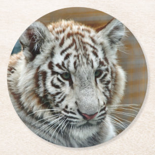 Dessous-de-verre Rond En Papier Tiger20151001