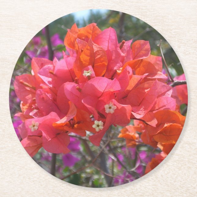 Dessous-de-verre Rond En Papier Tropical Pink Bougainvillea Island Floral (Devant)