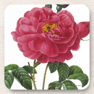 Dessous-de-verre Rosa Gallica