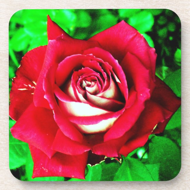 Dessous-de-verre Rose (Devant)