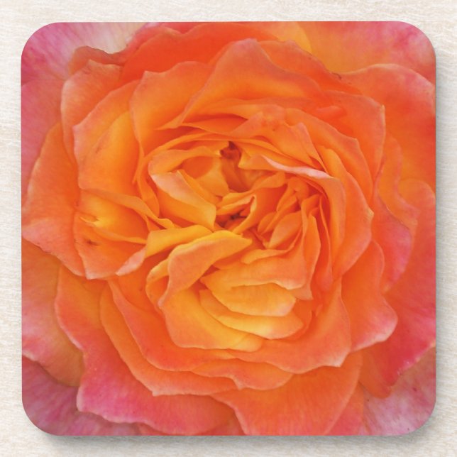 Dessous-de-verre Rose (Devant)