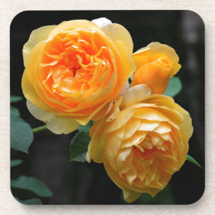 Dessous-de-verre Rose anglais jaune