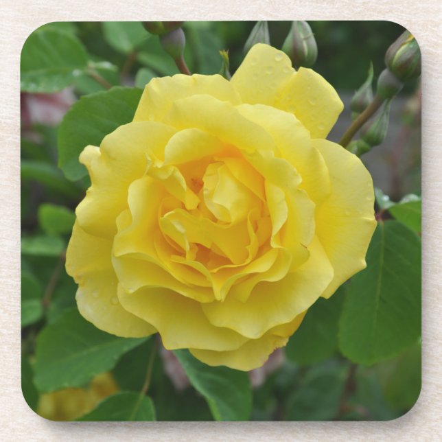 Dessous-de-verre Rose jaune (Devant)