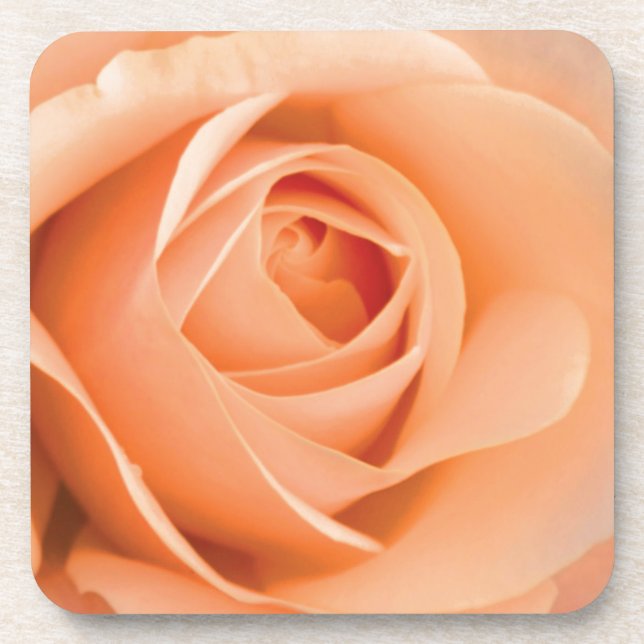 Dessous-de-verre Rose orange (Devant)