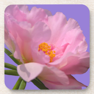 Dessous de verre rose Peony