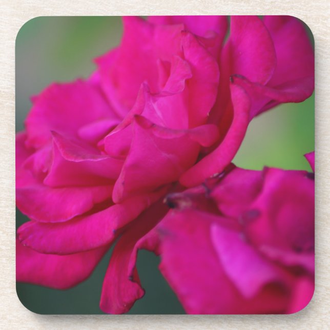 Dessous-de-verre Rose rose fleurie (Devant)