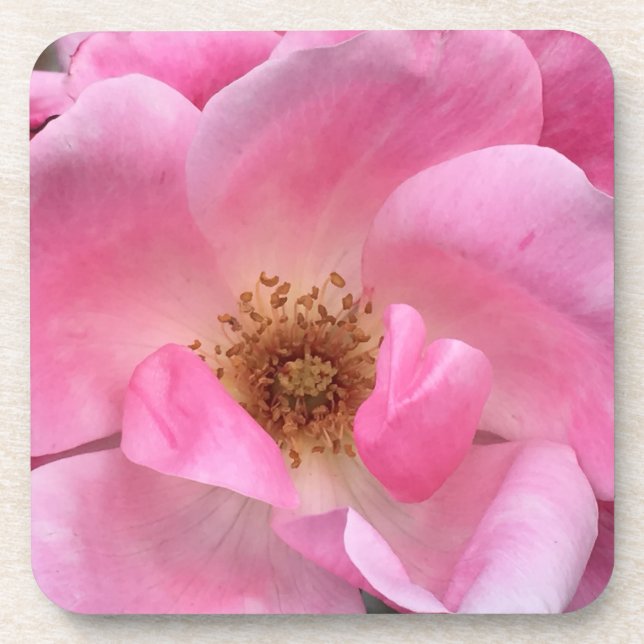 Dessous-de-verre Rose rose rose (Devant)