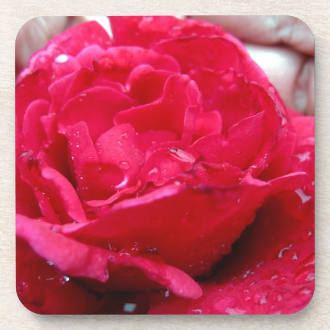 Dessous-de-verre Rose rouge (Devant)