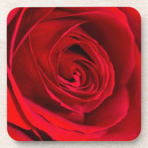 Dessous-de-verre Rose rouge romantique en pleine floraison