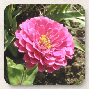 Dessous de verre rose Zinnia Cork