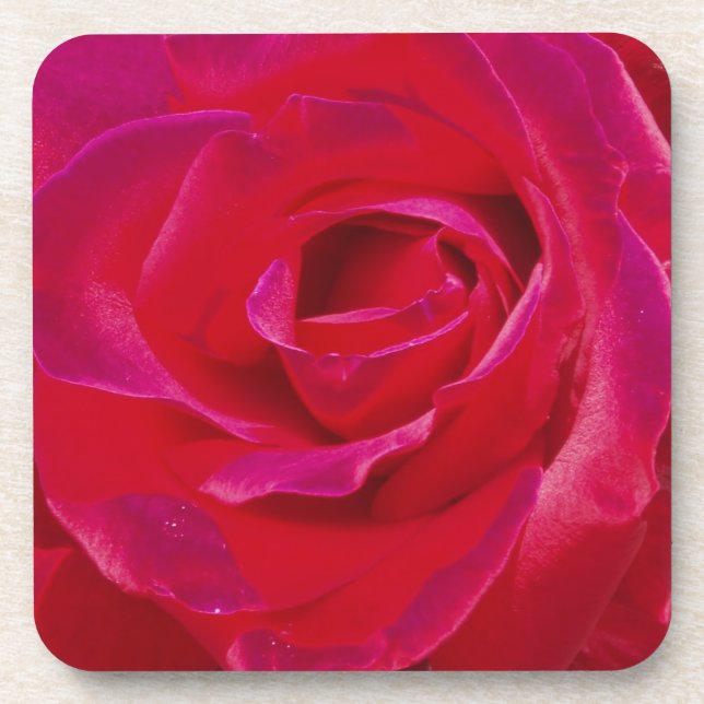 Dessous de verre roses (Devant)