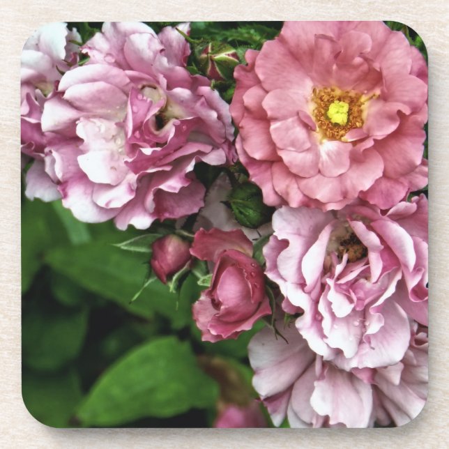 Dessous de verre roses d'antiquité (Devant)